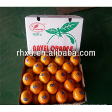 Hot selling cheap oranges for wholesales